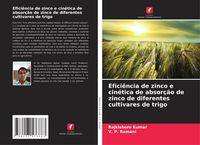 Produktbild: Efici&ecirc;ncia de zinco e cin&eacute;tica de absor&ccedil;&atilde;o de zinco de diferentes cultivares de trigo