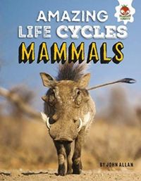 Produktbild: Allan, J: Amazing Life Cycles- Mammals