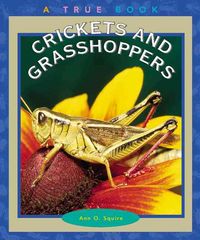 Produktbild: Crickets and Grasshoppers