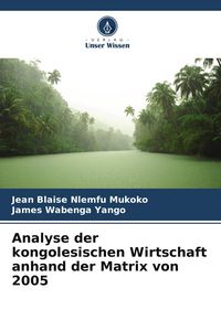 Produktbild: Analyse der kongolesischen Wirtschaft anhand der Matrix von 2005