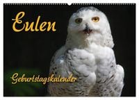 Produktbild: Eulen (Wandkalender 2026 DIN A2 quer), CALVENDO Monatskalender