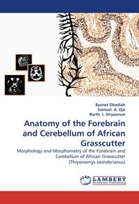 Produktbild: Anatomy of the Forebrain and Cerebellum of African Grasscutter