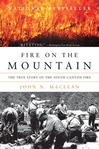Produktbild: Fire on the Mountain