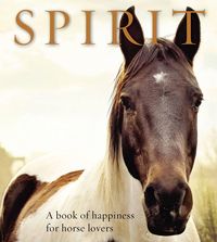 Produktbild: Spirit