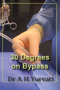 Produktbild: 30 Degrees on Bypass