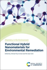 Produktbild: Functional Hybrid Nanomaterials for Environmental Remediation