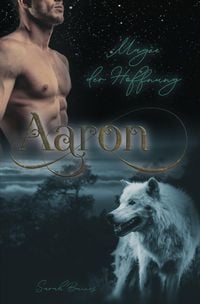 Produktbild: Aaron &ndash; Magie der Hoffnung