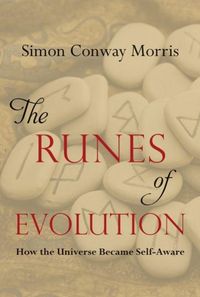 Produktbild: The Runes of Evolution