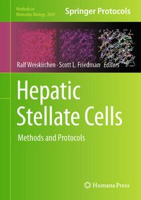 Produktbild: Hepatic Stellate Cells