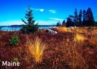 Produktbild: Maine