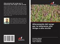 Produktbild: Allevamento del sorgo per la tolleranza alla striga e alla siccit&agrave;