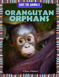 Produktbild: Orangutan Orphans