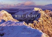 Produktbild: Wild Light