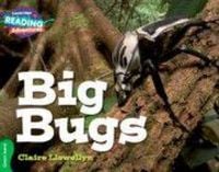 Produktbild: Cambridge Reading Adventures Big Bugs Green Band