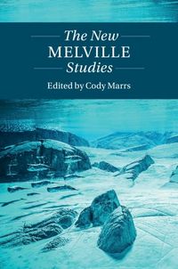 Produktbild: New Melville Studies