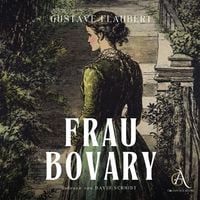 Produktbild: Frau Bovary - Hörbuch Klassiker