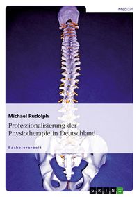 Produktbild: Professionalisierung der Physiotherapie in Deutschland