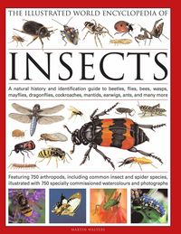 Produktbild: The Illustrated World Encyclopaedia of Insects