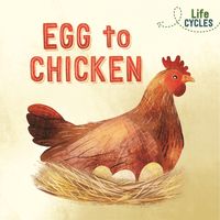Produktbild: Life Cycles: Egg to Chicken