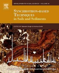 Produktbild: Synchrotron-Based Techniques I