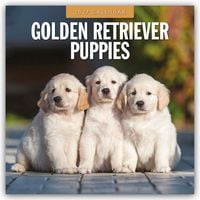 Produktbild: Golden Retriever Puppies &ndash; Golden Retriever Welpen 2027 &ndash; 16-Monatskalender