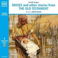 Produktbild: Moses and other stories from The Old Testament