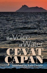 Produktbild: The Voice of Water