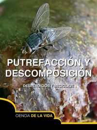 Produktbild: Putrefaccion y descomposicion