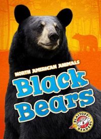 Produktbild: Black Bears