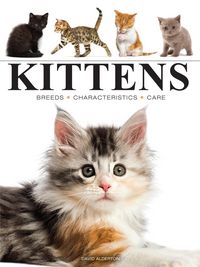Produktbild: Kittens