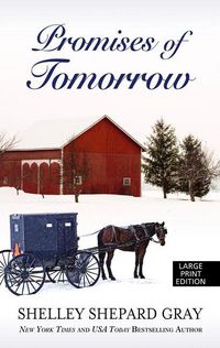 Produktbild: Promises Of Tomorrow -Lp