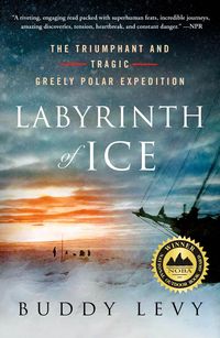 Produktbild: Labyrinth of Ice