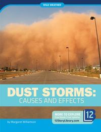 Produktbild: Dust Storms: Causes and Effects