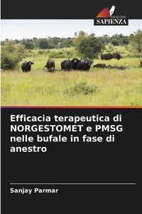 Produktbild: Efficacia terapeutica di NORGESTOMET e PMSG nelle bufale in fase di anestro