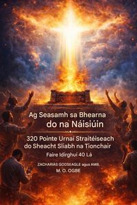 Produktbild: Ag Seasamh sa Bhearna ar son na N&aacute;isi&uacute;n - 320 Pointe Urna&iacute; Strait&eacute;iseach do na Seacht Sliabh Tionchair