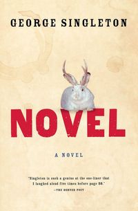 Produktbild: Novel