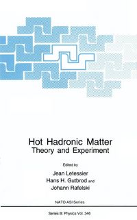 Produktbild: Hot Hadronic Matter
