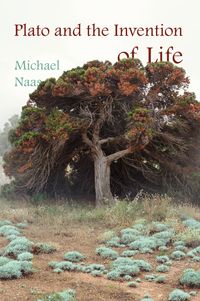 Produktbild: Plato and the Invention of Life
