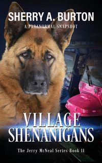 Produktbild: Village Shenanigans
