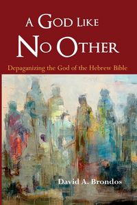 Produktbild: A God Like No Other