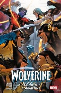 Produktbild: Wolverine Vol. 2