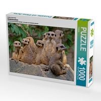 Produktbild: CALVENDO Puzzle Familienbande Erdm&auml;nnchen | 1000 Teile Lege-Gr&ouml;&szlig;e 64x48cm Foto-Puzzle f&uuml;r gl&uuml;ckliche Stunden