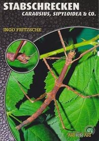 Produktbild: Stabschrecken