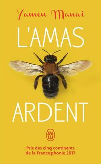 Produktbild: L'amas ardent