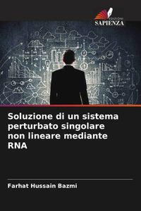 Produktbild: Soluzione di un sistema perturbato singolare non lineare mediante RNA