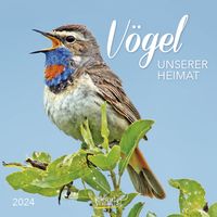 Bild vom Artikel Vögel 2024 vom Autor 