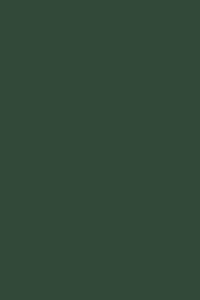 Produktbild: The Strength of Materials