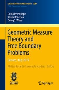 Produktbild: Geometric Measure Theory and Free Boundary Problems