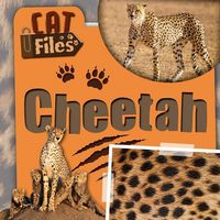 Produktbild: Cheetah