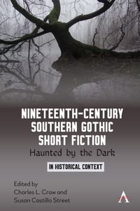 Produktbild: Nineteenth-Century Southern Gothic Short Fiction